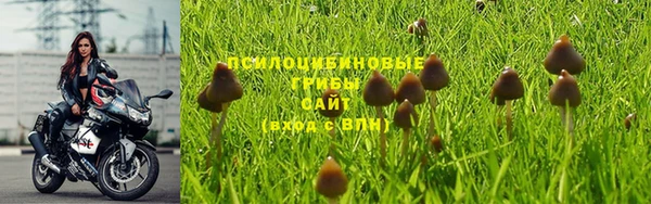 наркотики Карпинск